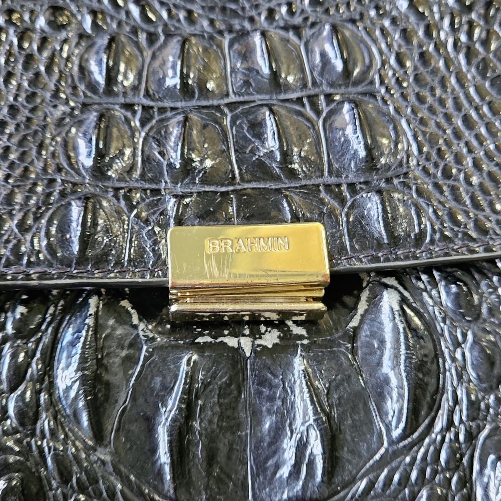 Brahmin - Picture 2 of 7
